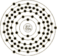 81